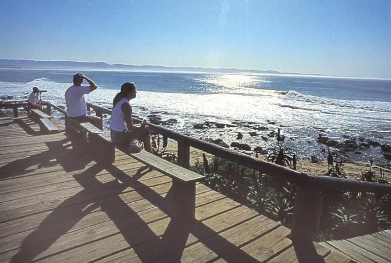 Diaz 15 House On The Bay Hotell Jeffreys Bay Exteriör bild
