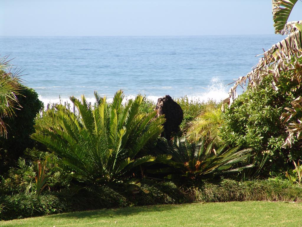 Diaz 15 House On The Bay Hotell Jeffreys Bay Exteriör bild